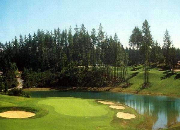 View of a bunkered green at Gold Mountain Golf Course