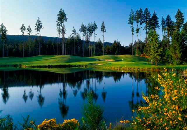 View of a green at Gold Mountain Golf Course
