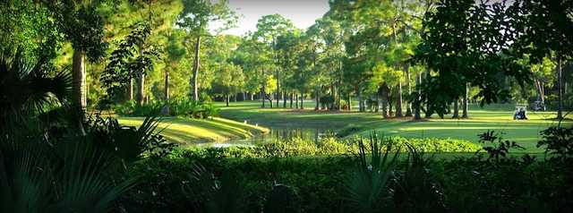 View from a tee at Palmetto-Pine Country Club