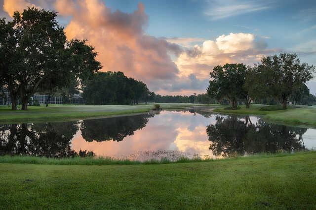 A view from The Eagles Golf Club