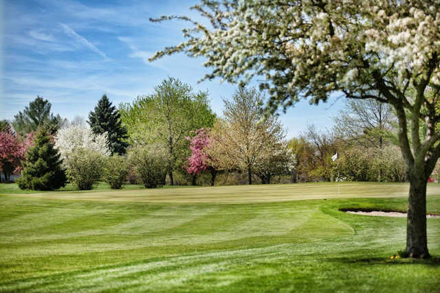 A superb view of a green protected by spring blossom trees at  Mattoon Golf & Country Club 