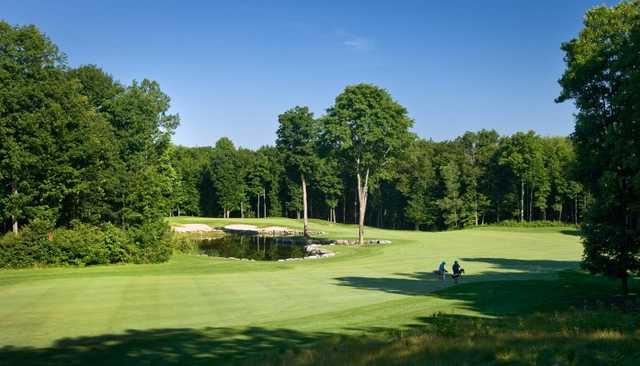 View from Trillium Wood GC