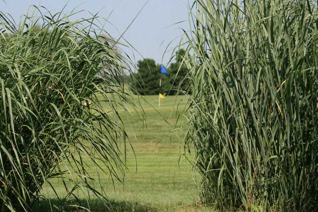 A view of a hole from the Links at Pretty Prairie