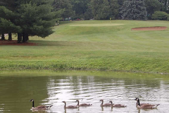 A view over the water from Woodlawn Golf Club