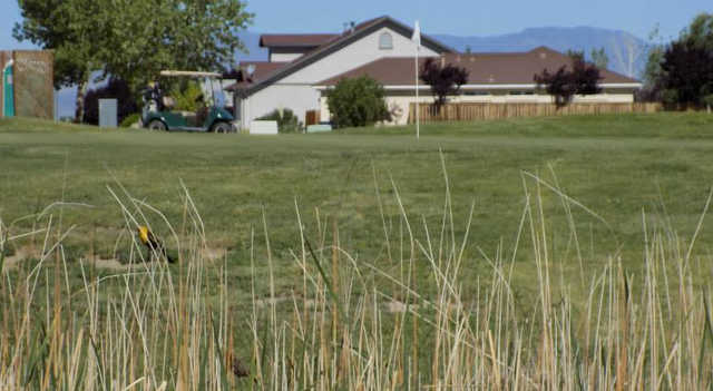 are dogs allowed at fernley golf course