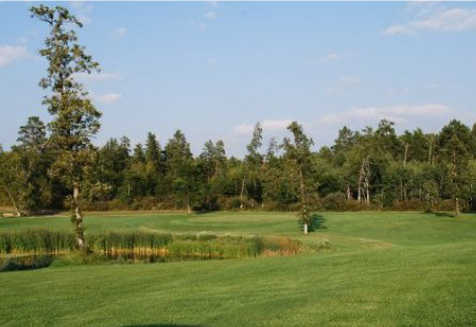 A view of a hole at Black Bear Golf Course