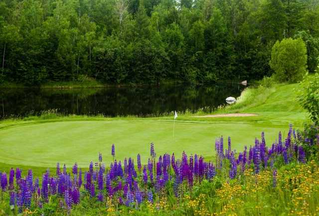 A view of green #6 at Eagle Ridge Golf Course