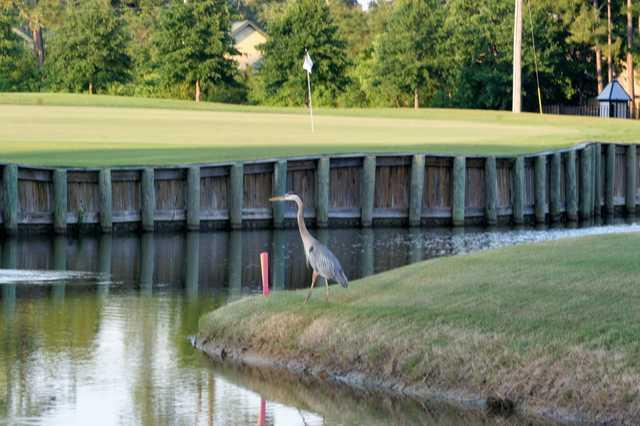 View from Gulf Shores Golf Club