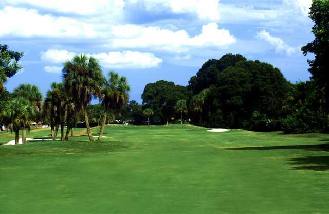 Palms GC at Forest Lakes: 5th fairway
