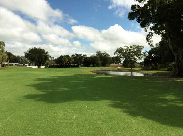 Palms GC at Forest Lakes: 5th fairway