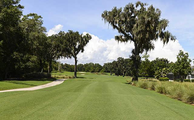 TPC Sawgrass Dye's Valley Course Outline print 