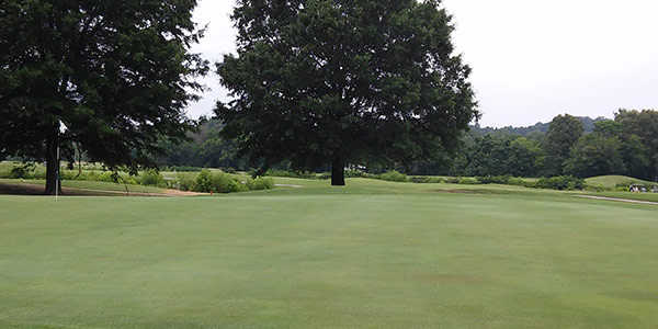 View of a green at Egwani Farms Golf Course