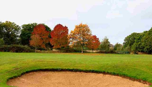Bunker at David Lloyd Hampton Golf Course