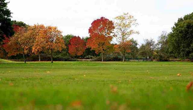 Fairway from David Lloyd Hampton Golf Course