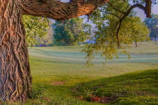 Nowata Country Club - Reviews & Course Info | GolfNow