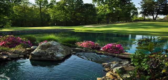 View of a green and water at The Links at Stoney Point