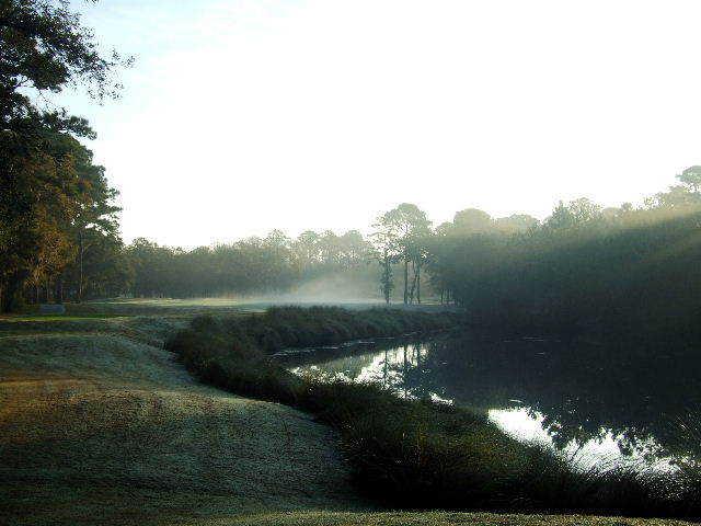 A foggy view of a green at Palmetto Hall Plantation