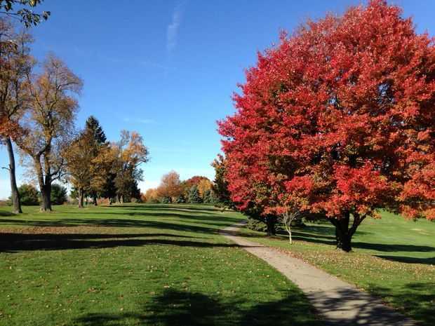 A fall day view from Hiland Golf Course