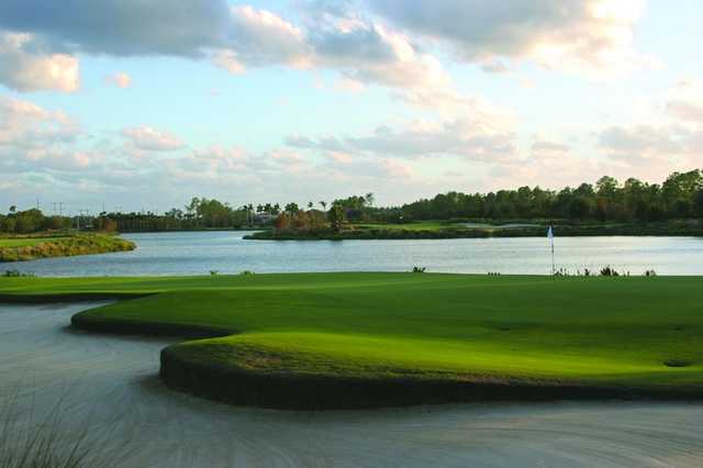 Tiburon Golf Club - Gold Course Tee Times - Naples FL