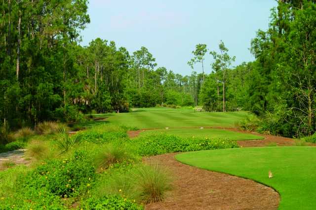 Black's course no. 2 provides the most demanding tee shot on the golf course, but also one of the most scenic. Once through the narrow chute of pines, the fairway opens up to an undulating green.