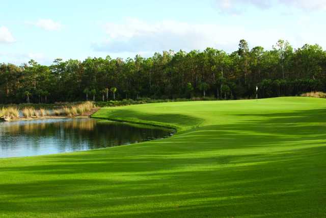 #8 on the Black course at Tiburón: guarded by water on the left, trees frame the right side of this hole.