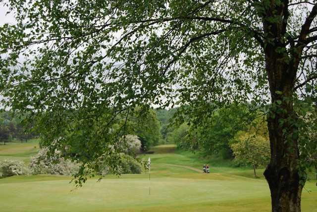 A view of the 18th green at Alloa Golf Club