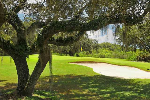 A sunny day view of a green at Misty Creek Country Club