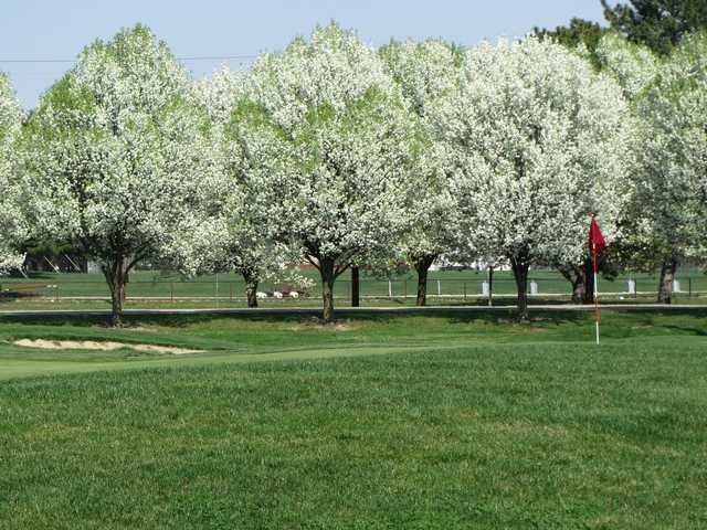 A splendid spring day view of a hole surrounded by blossomed trees at Sahm Golf Course
