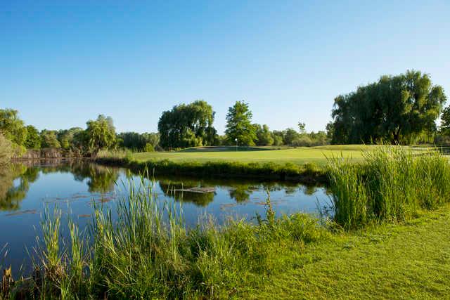 View of the 16th green at Teal Bend Golf Club