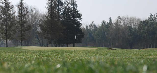 A view of a green at Jack Tone Golf