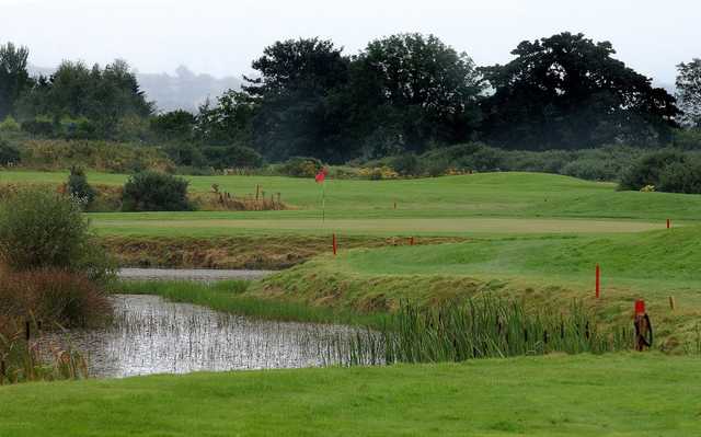 View of the 12th green at Down Royal Park Golf Course