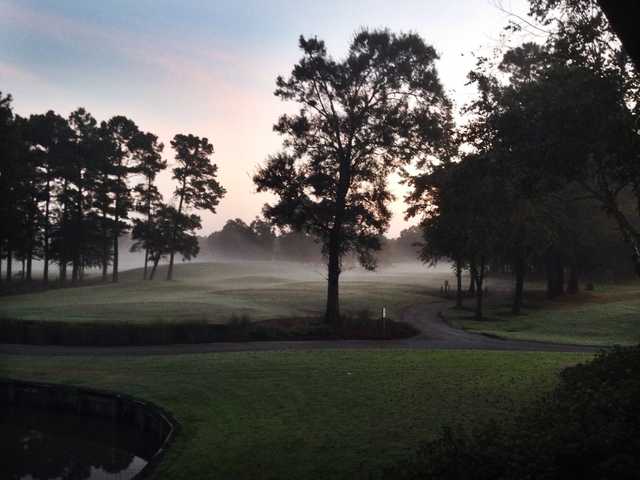 Misty morning at Meadowlands Golf Course