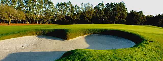 Carrollwood Country Club - Reviews & Course Info | GolfNow