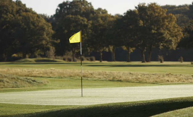 A view of a green at Sonning Golf Club