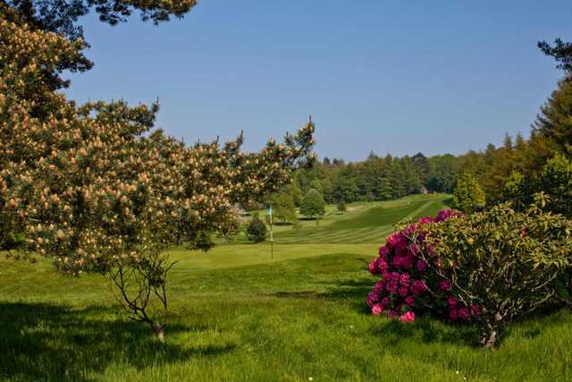 A sunny day view of a green at Royal Belfast Golf Club