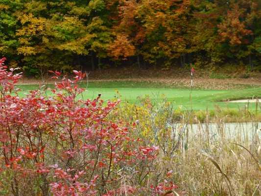 A view of green #15 protected by a pond at Wahconah Country Club