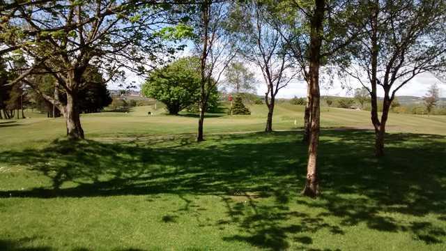View of a green at Lochgelly Golf Club