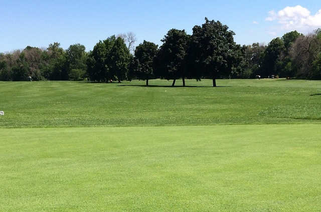 A sunny day view from Columbus Park Golf Course