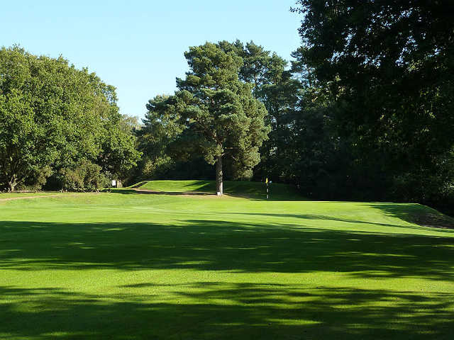 A view of the 5th green at Puttenham Golf Club