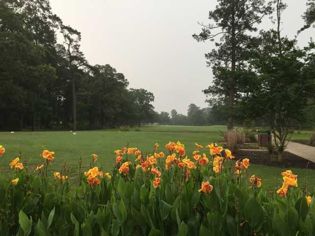 View from Red Wolf Golf Resort