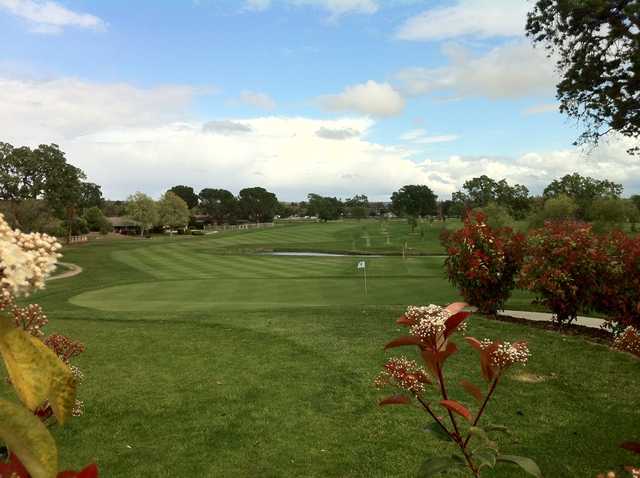 A view of a green at Paso Robles Golf Club