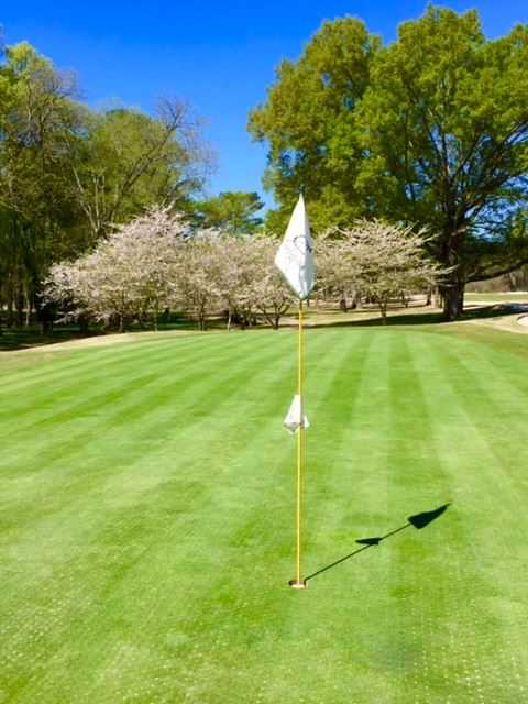 A view of a hole at Coosa Country Club