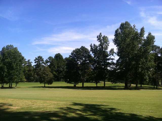 A sunny day view from Palmetto Hills Golf Club