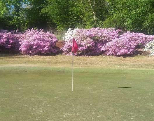 A view of a green from Carolina Golf Club at Botany Woods