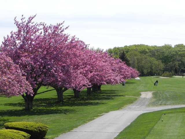 First hole w cherry trees in bloom at Green Valley Country Club