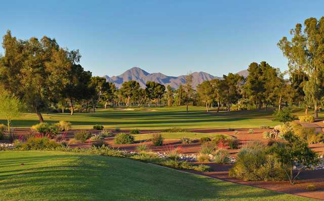 View of the 10th green from the Pine course at McCormick Ranch GC