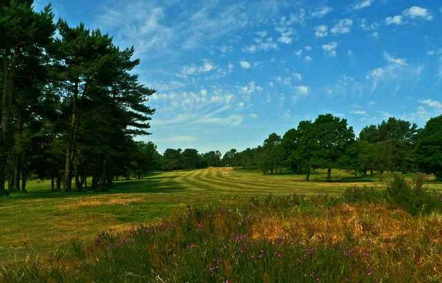 A view of a fairway at Crowborough Beacon Golf Club