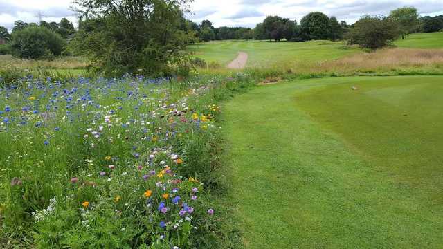 A view from a tee at Great Barr Golf Club