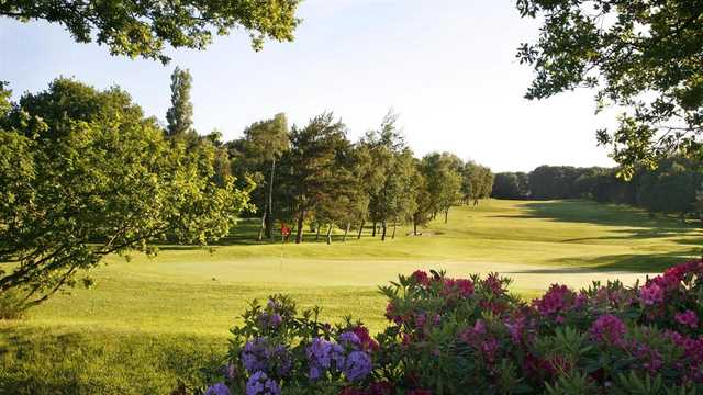 A sunny day view from Harrogate Golf Club