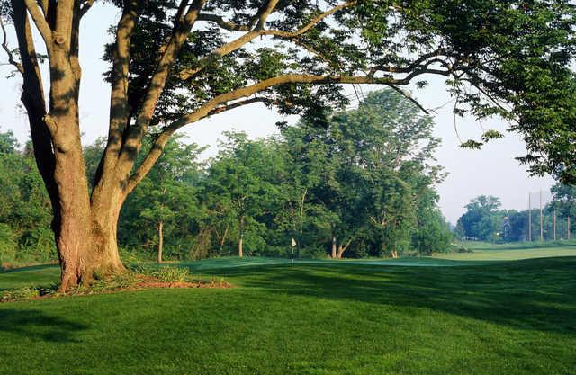 A view from Turtle Creek Golf Club